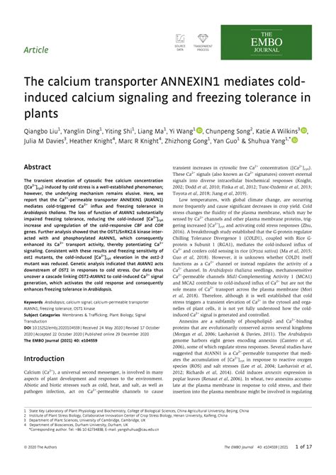 The calcium transporter ANNEXIN1 mediates 